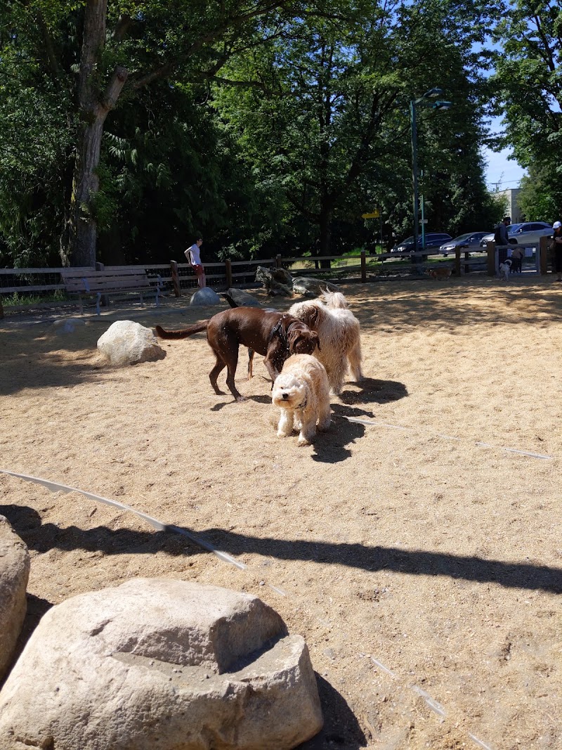 Renfrew Community Park Dog Off-Leash Enclosure dog park in Vancouver, British Columbia