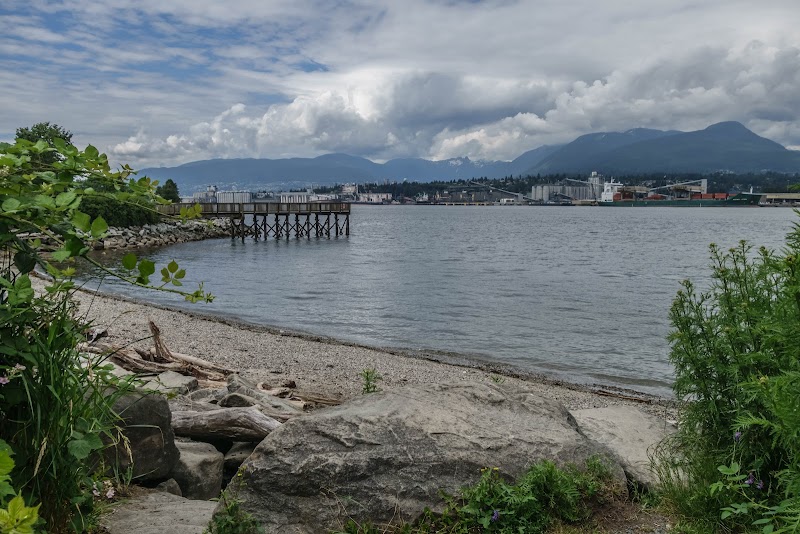 New Brighton Park dog park in Vancouver, British Columbia