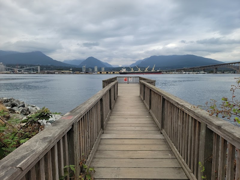 New Brighton Park dog park in Vancouver, British Columbia