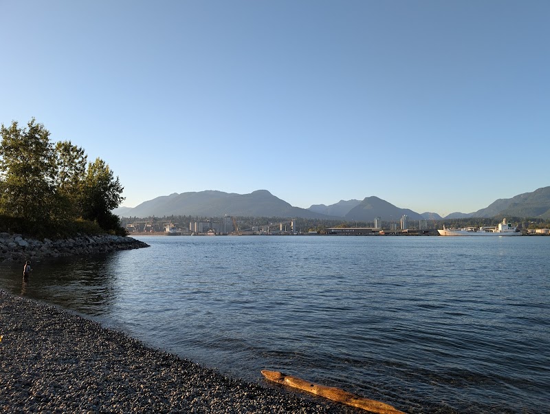 New Brighton Park dog park in Vancouver, British Columbia