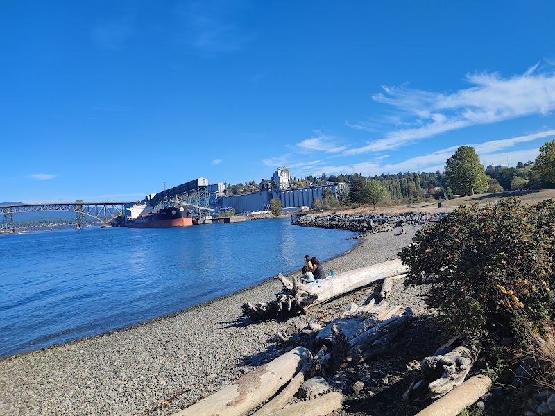 New Brighton Park dog park in Vancouver, British Columbia
