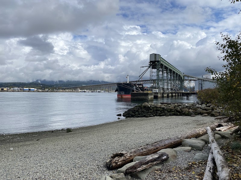 New Brighton Park dog park in Vancouver, British Columbia