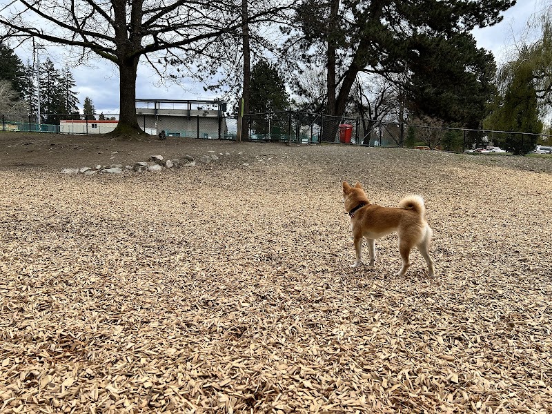 Mahon Dog Leash-Optional Area dog park in North Vancouver, British Columbia