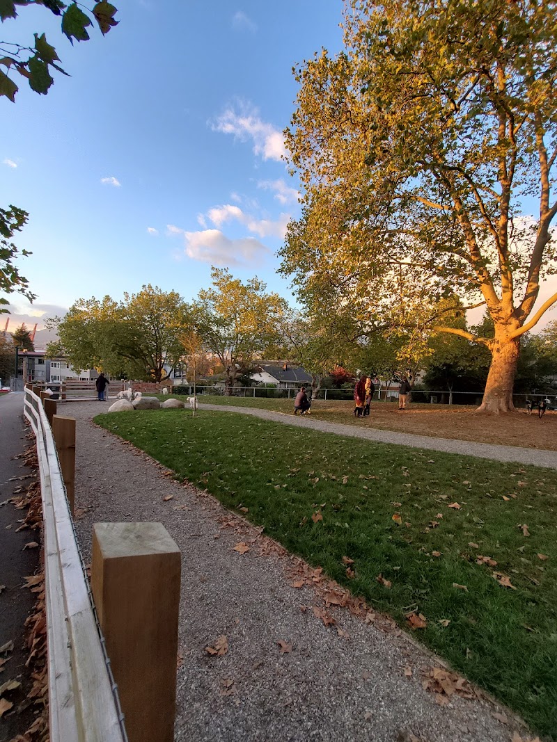 Pandora Park Dog Off-Leash Area dog park in Vancouver, British Columbia