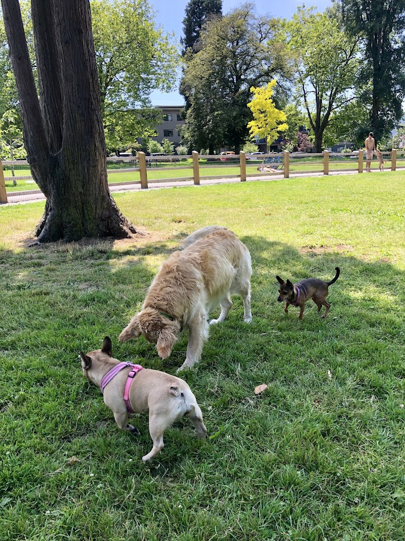 Pandora Park Dog Off-Leash Area dog park in Vancouver, British Columbia