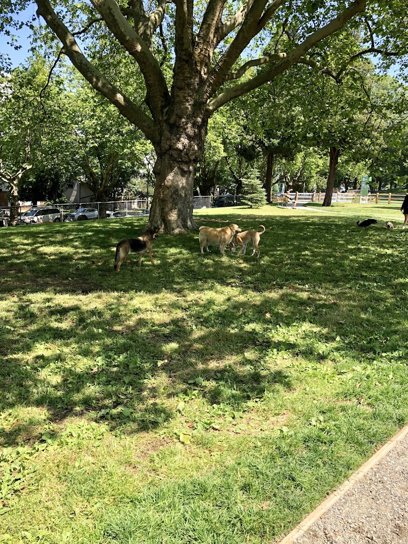 Pandora Park Dog Off-Leash Area dog park in Vancouver, British Columbia