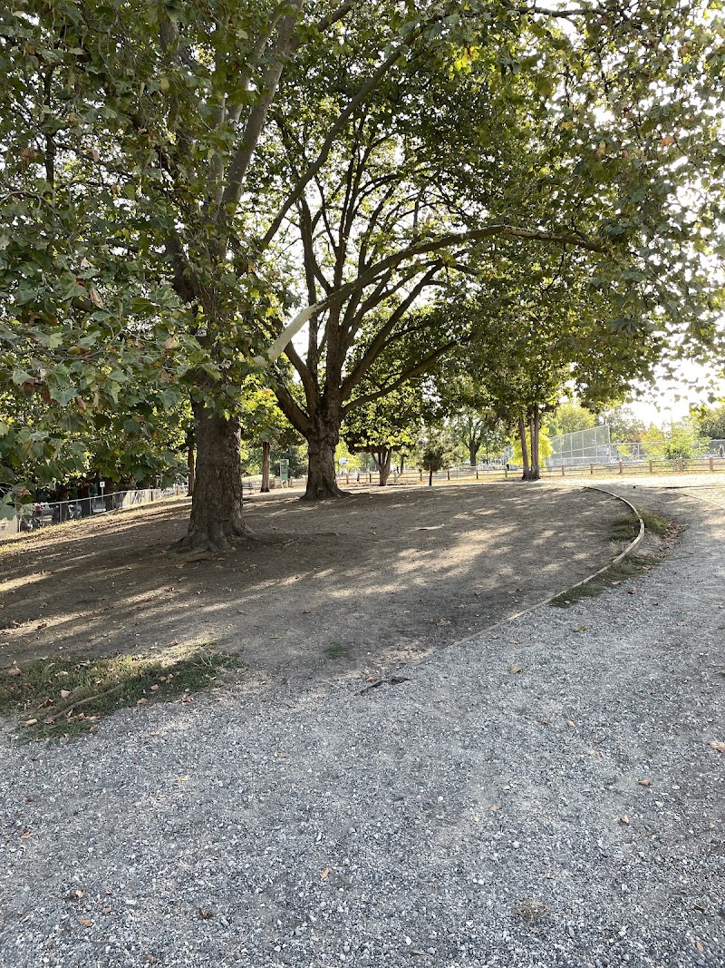 Pandora Park Dog Off-Leash Area dog park in Vancouver, British Columbia