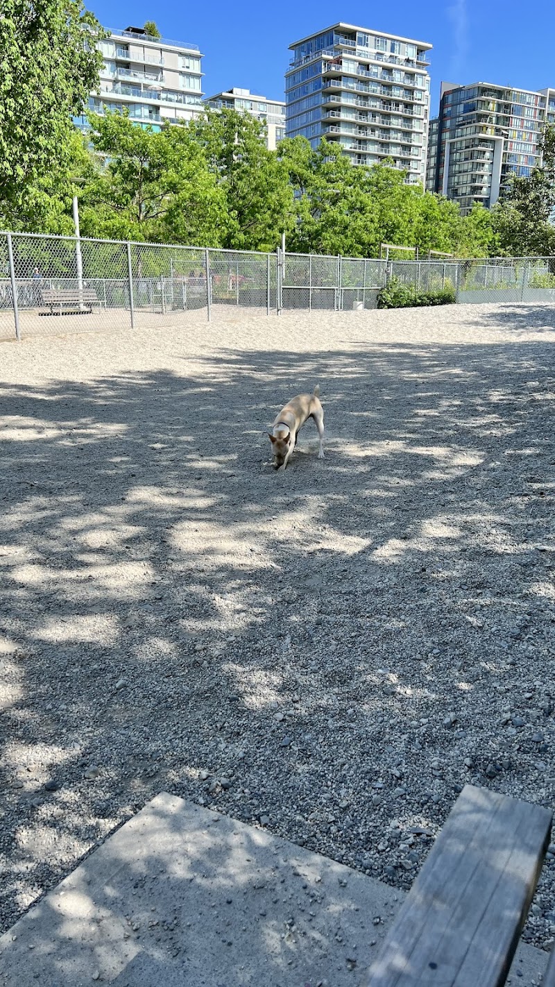 Olympic Village Off-Leash Dog Park dog park in Vancouver, British Columbia