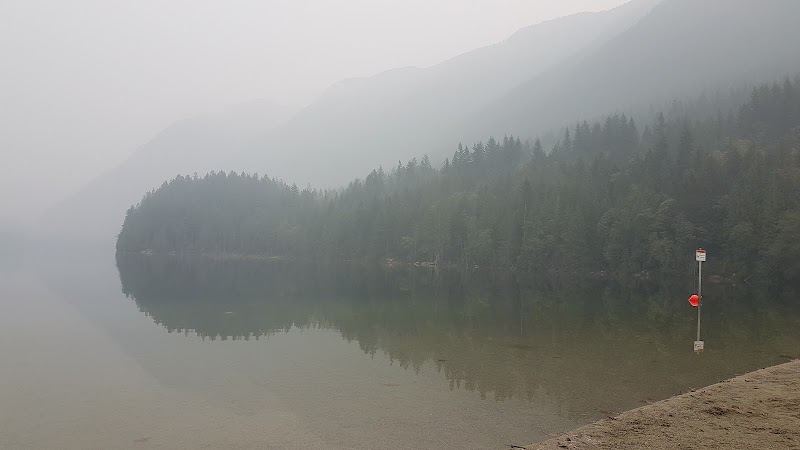 Olympic Village Off-Leash Dog Park dog park in Vancouver, British Columbia