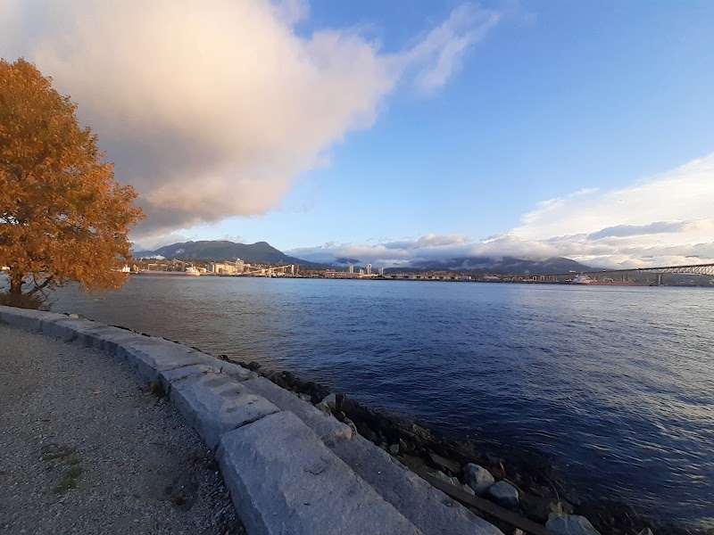 New Brighton Dog Park Off Leash Enclosure dog park in Vancouver, British Columbia