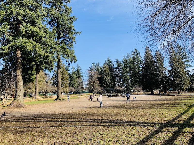 David Gray Park dog park in Burnaby, British Columbia
