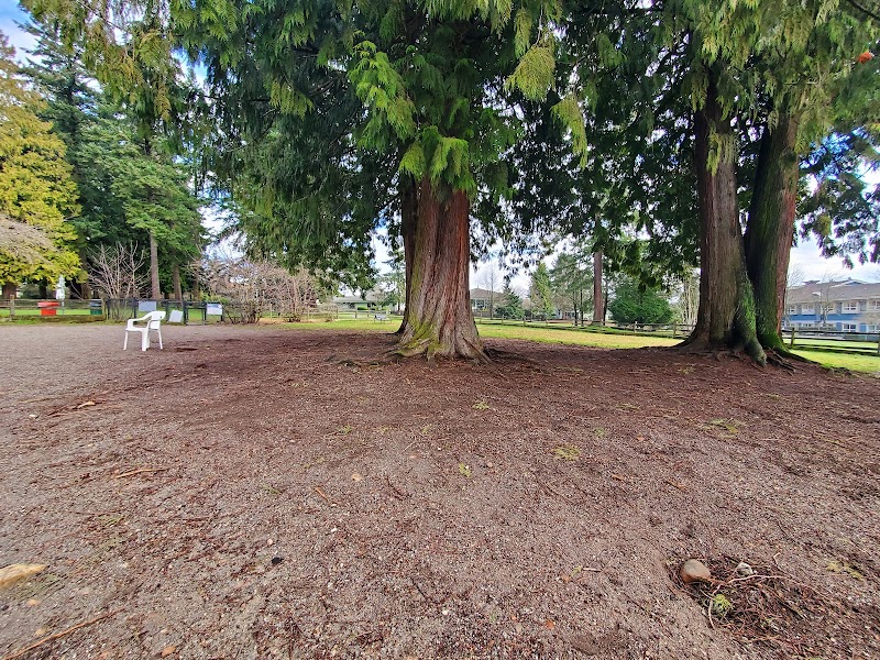 David Gray Park dog park in Burnaby, British Columbia