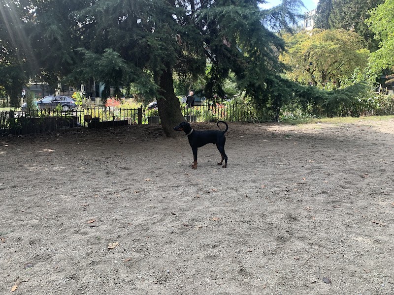 Nelson Park Dog Park dog park in Vancouver, British Columbia