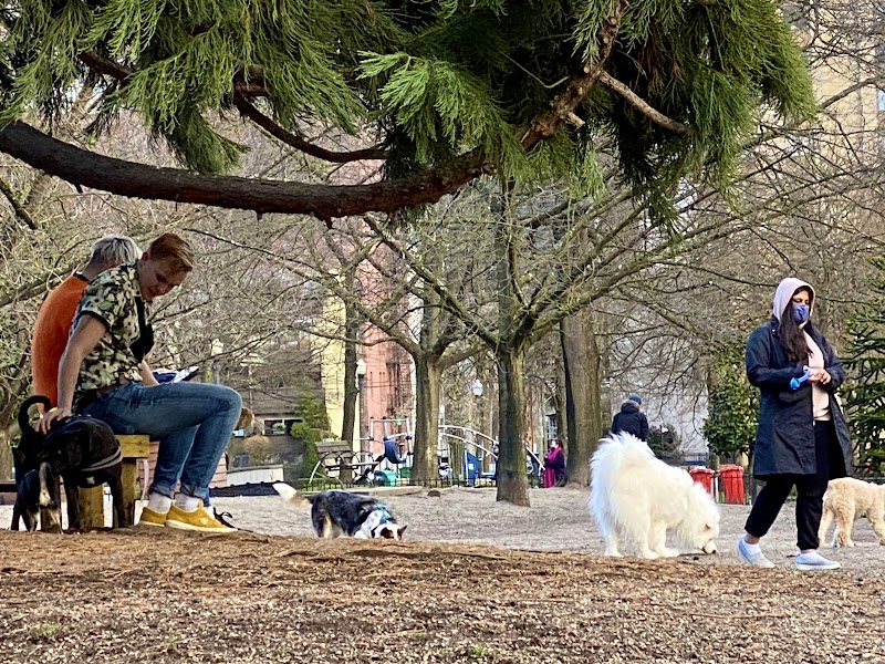 Nelson Park Dog Park dog park in Vancouver, British Columbia