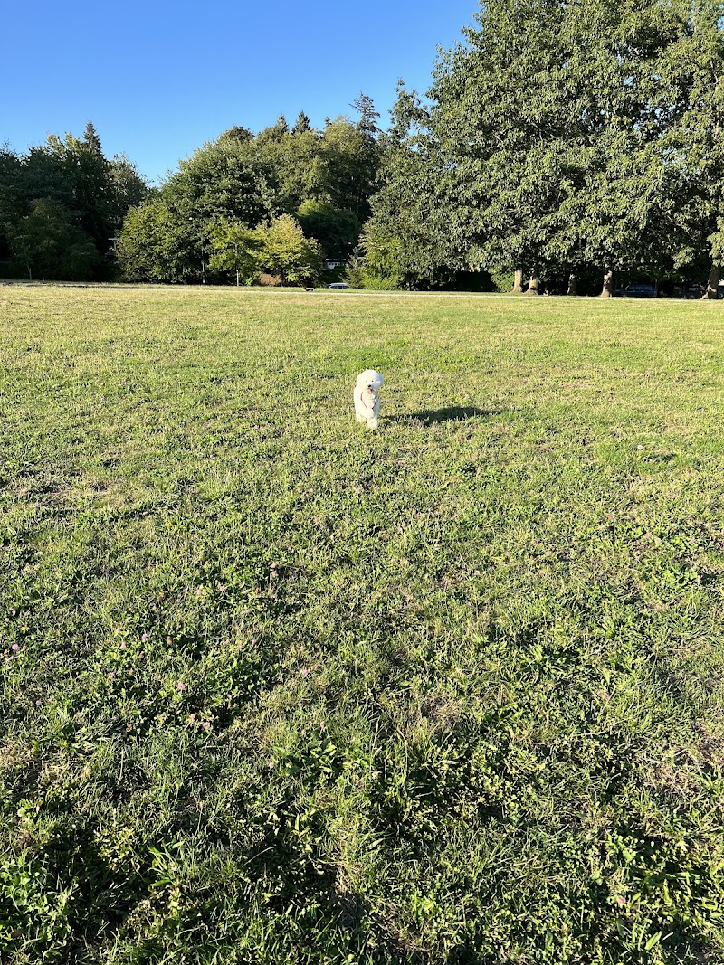 Off Leash Dog Area dog park in Vancouver, British Columbia