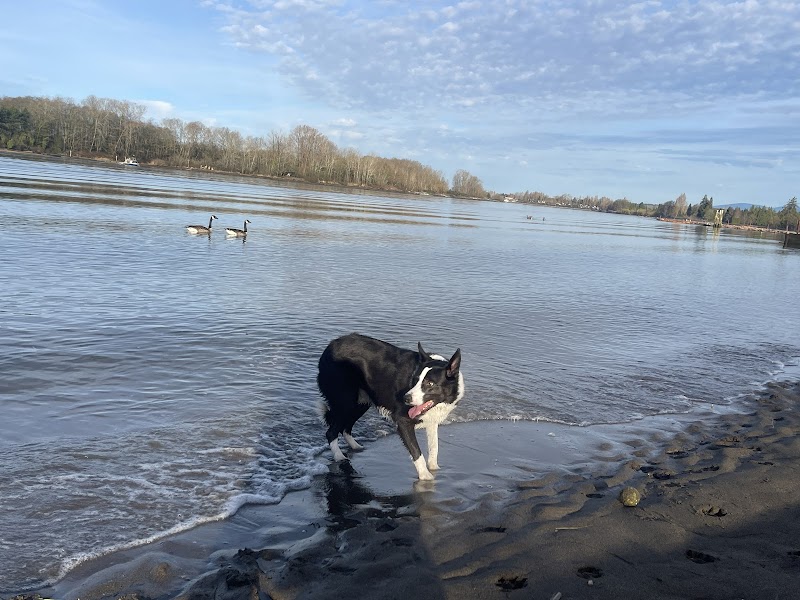 Off Leash Dog Area dog park in Vancouver, British Columbia