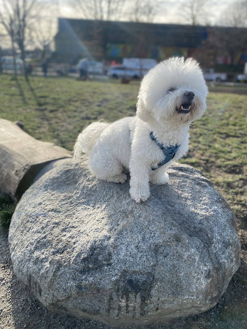 Sunset Park Dog Off Leash Enclosure dog park in Vancouver, British Columbia