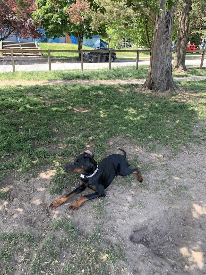 Sunset Park Dog Off Leash Enclosure dog park in Vancouver, British Columbia