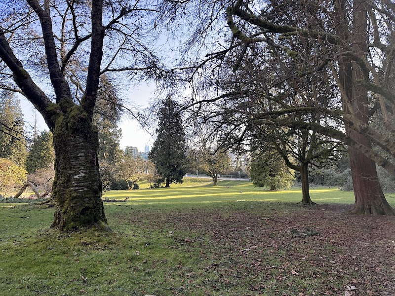 Stanley Park Dog Park dog park in Vancouver, British Columbia