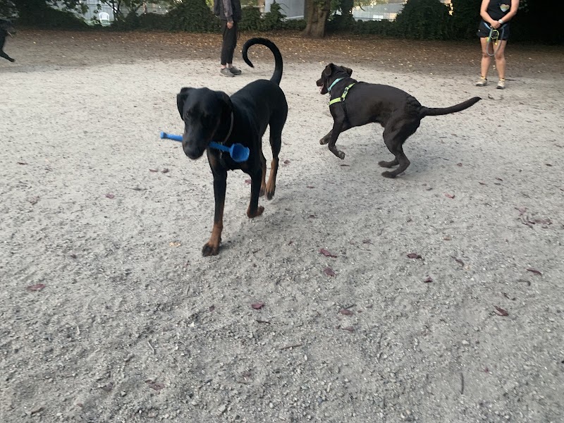 Stanley Park Dog Park dog park in Vancouver, British Columbia