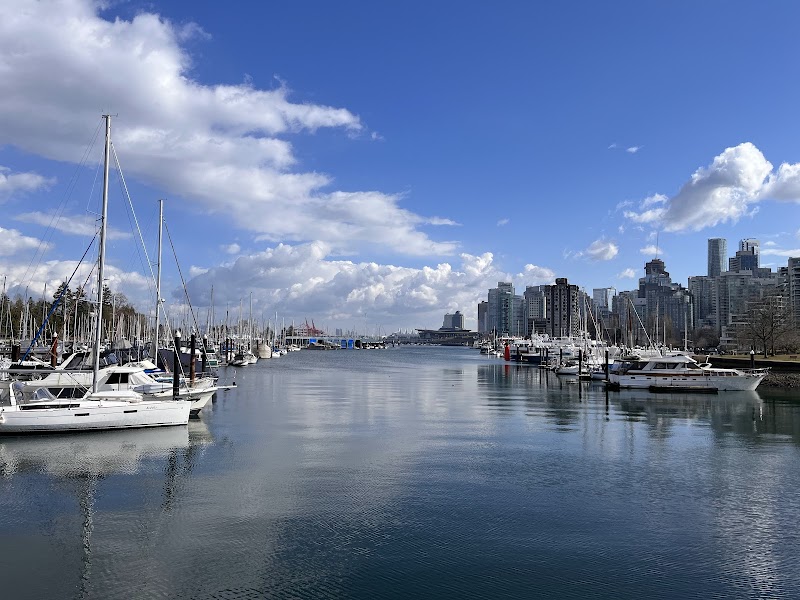 Stanley Park Dog Park dog park in Vancouver, British Columbia