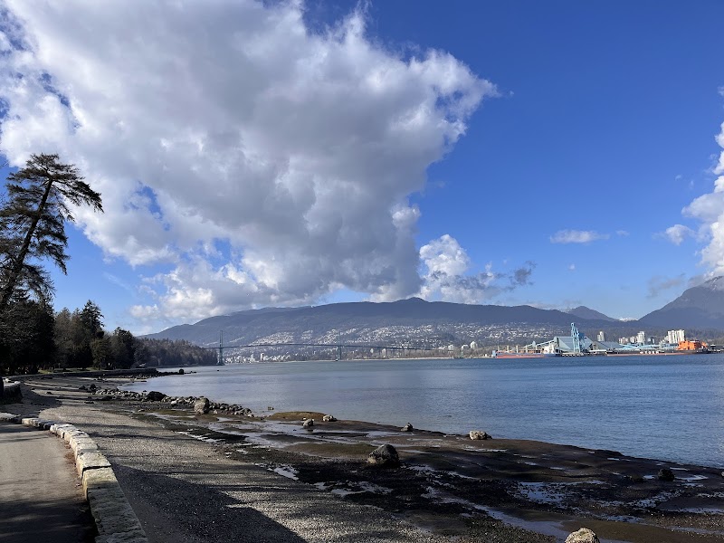 Stanley Park Dog Park dog park in Vancouver, British Columbia