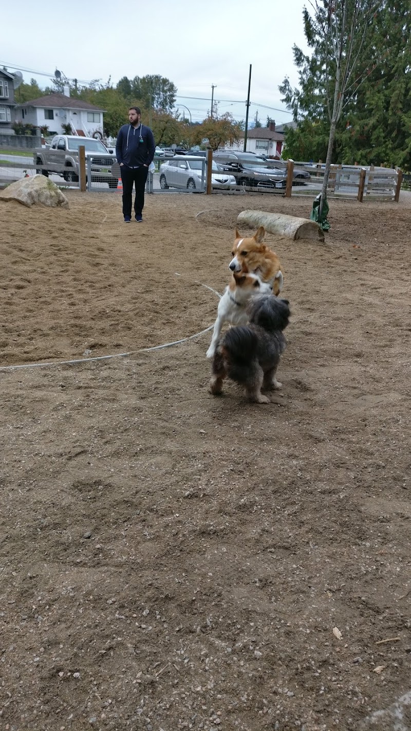 Renfrew Ravine Dog Park dog park in Vancouver, British Columbia