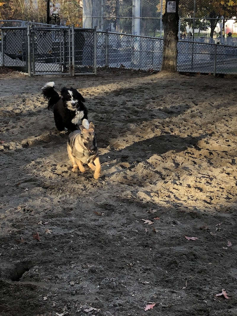 Andy Livingstone Dog Park dog park in Vancouver, British Columbia