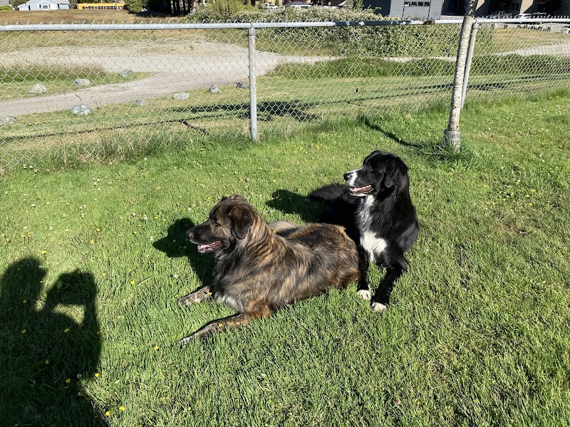 Powell River Dog Park dog park in Powell River, British Columbia
