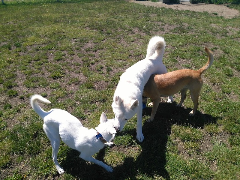 Powell River Dog Park dog park in Powell River, British Columbia