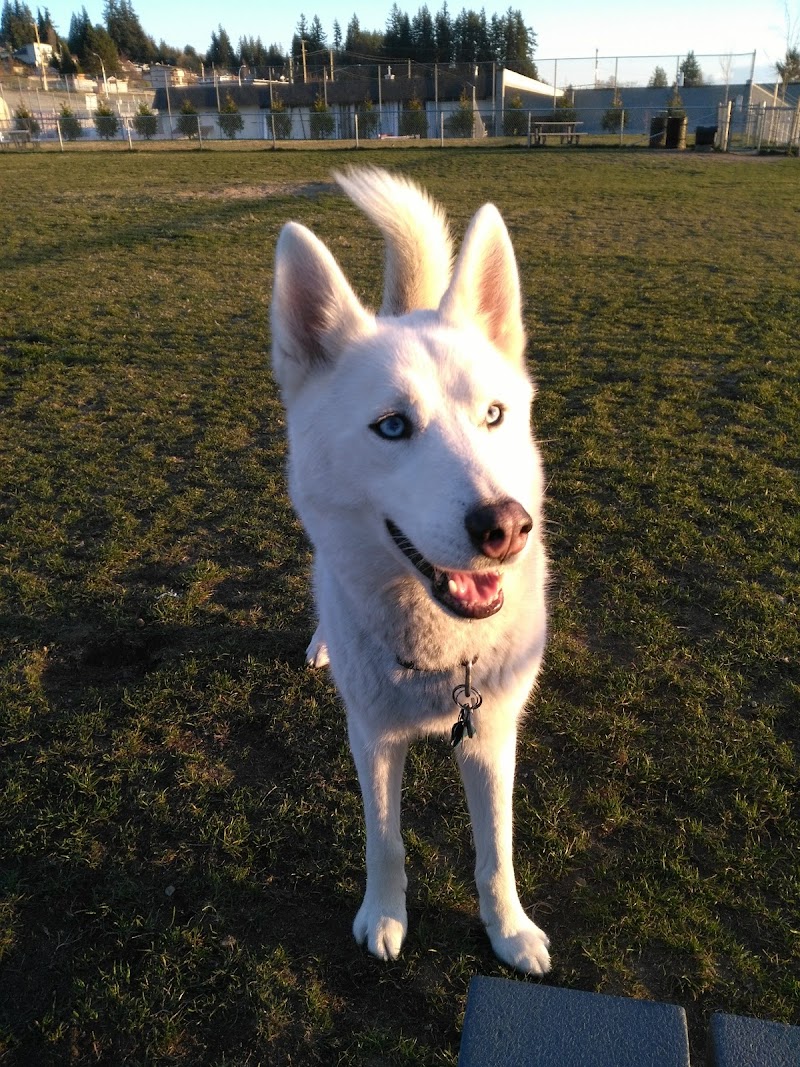 Powell River Dog Park dog park in Powell River, British Columbia