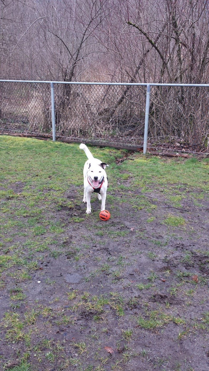 Dog Park dog park in Squamish, British Columbia