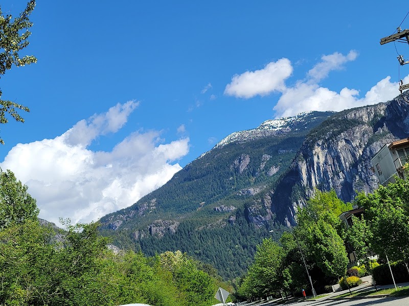 Dog Park dog park in Squamish, British Columbia