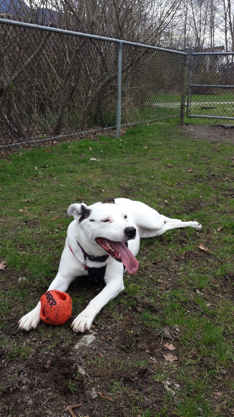 Dog Park dog park in Squamish, British Columbia
