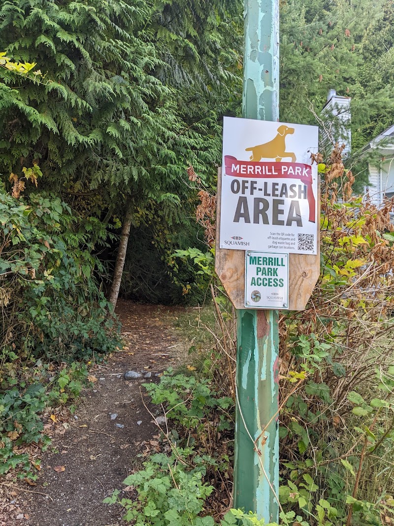 Merrill Park Off-Leash Dog Area dog park in Squamish, British Columbia