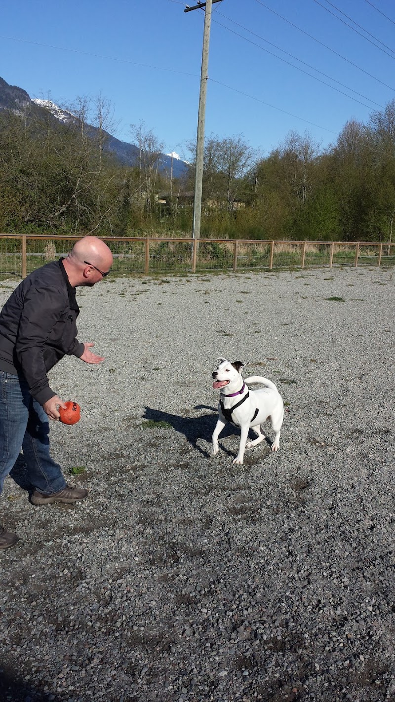 Dog park dog park in Squamish, British Columbia