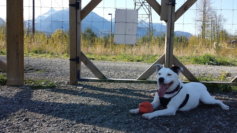 Dog park dog park in Squamish, British Columbia