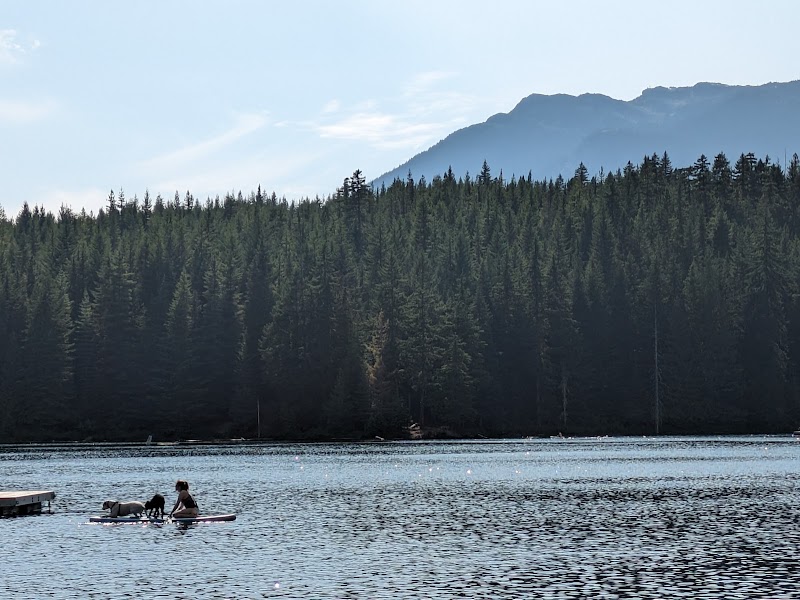 Canine Cove dog park in Whistler, British Columbia