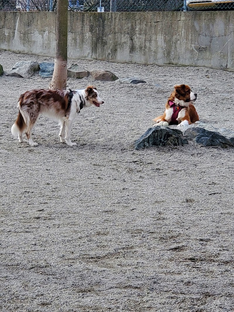 Victoria West Dog Park dog park in Victoria, British Columbia