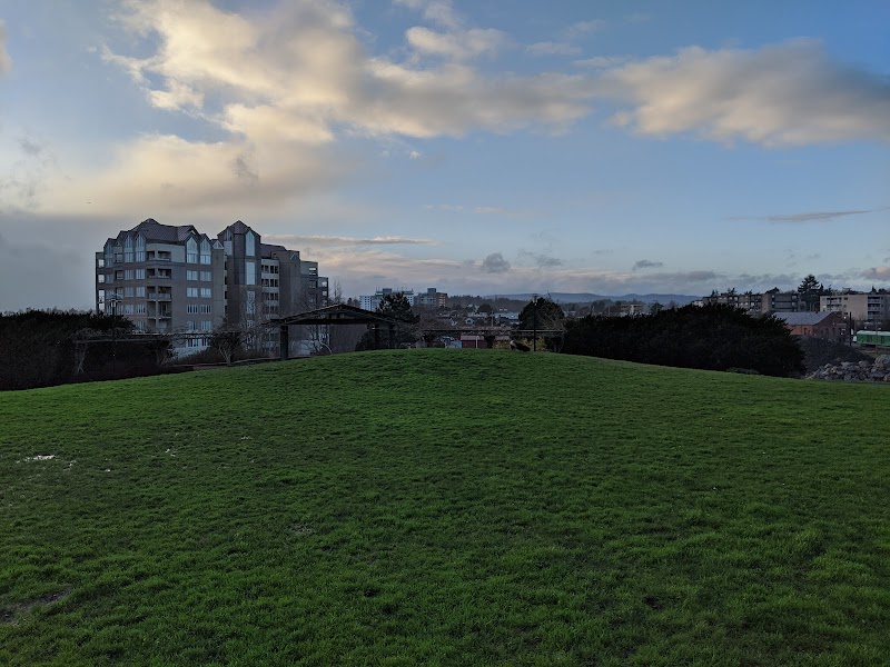 Songhees Hillside Park dog park in Victoria, British Columbia