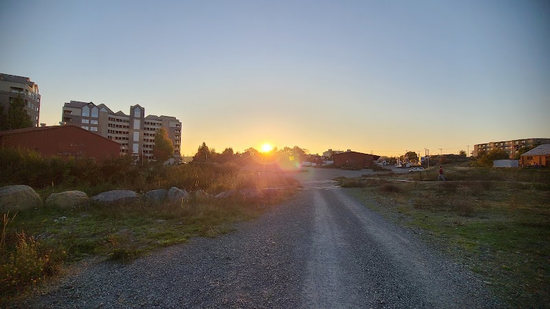 Songhees Hillside Park dog park in Victoria, British Columbia
