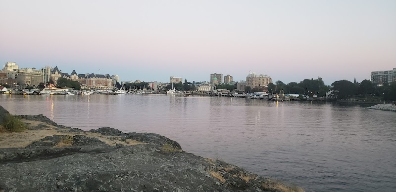 Songhees Hillside Park dog park in Victoria, British Columbia