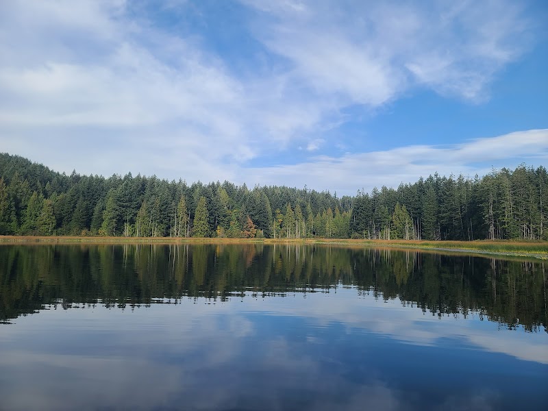 Chemainus Lake Park dog park in Chemainus, British Columbia