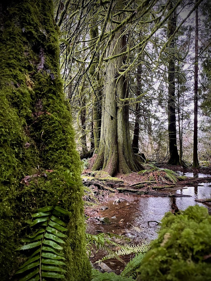 Chemainus Lake Park dog park in Chemainus, British Columbia