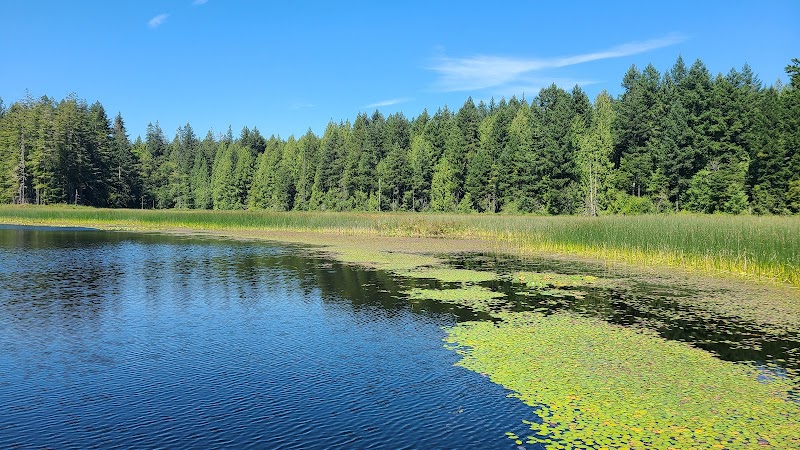 Chemainus Lake Park dog park in Chemainus, British Columbia