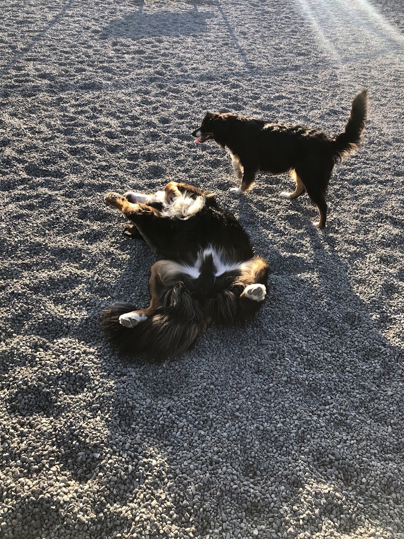 Somenos Creek Dog Park dog park in Duncan, British Columbia