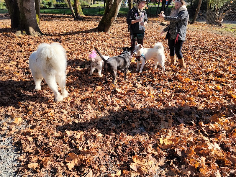 South Cowichan Off-Leash Dog Park dog park in Cobble Hill, British Columbia