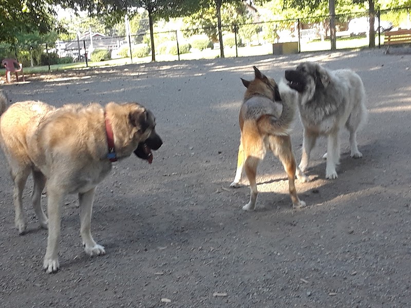 South Cowichan Off-Leash Dog Park dog park in Cobble Hill, British Columbia