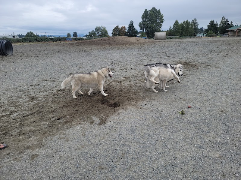 Beban Park Off-Leash Dog Park dog park in Nanaimo, British Columbia