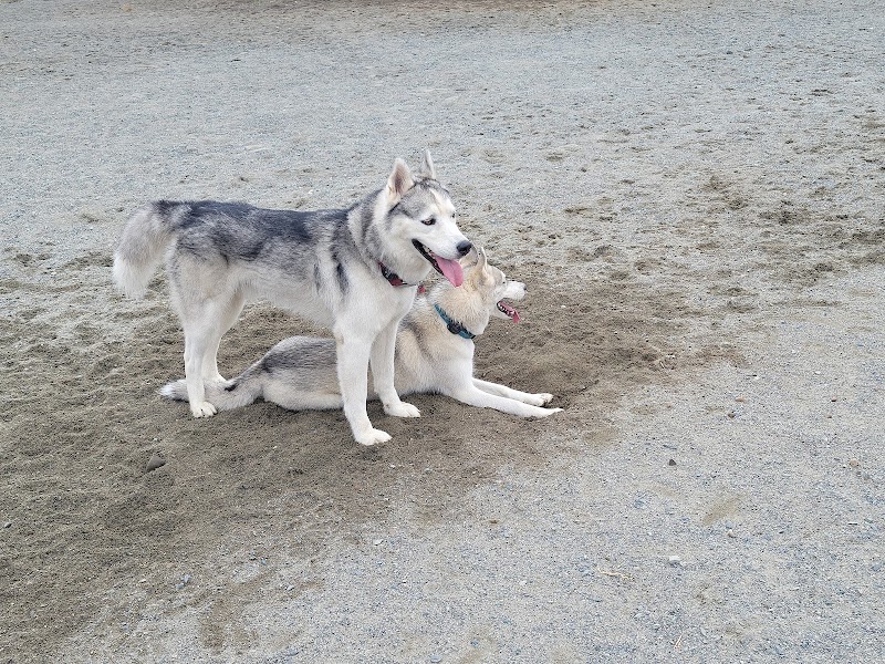 Beban Park Off-Leash Dog Park dog park in Nanaimo, British Columbia